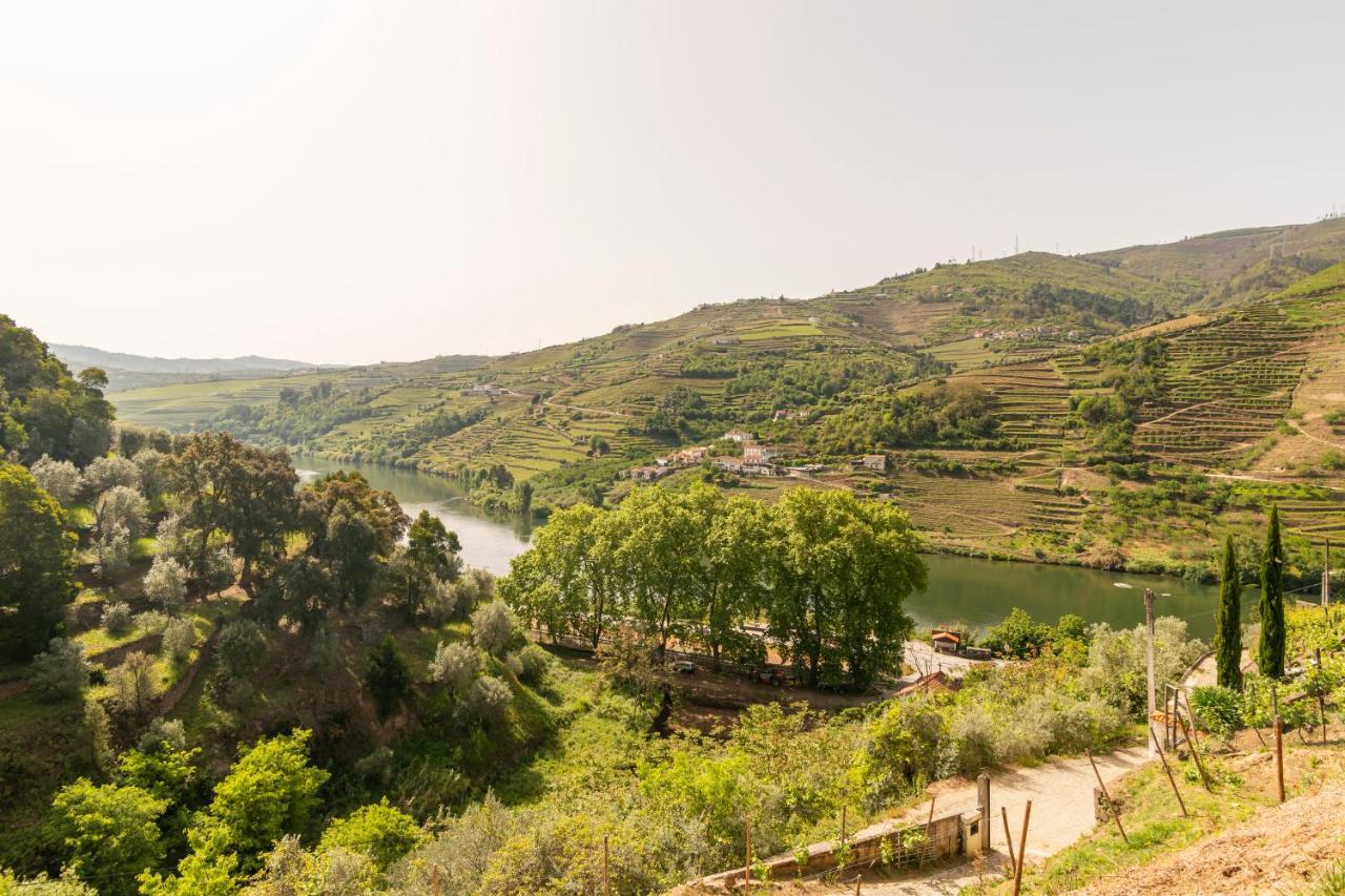 Douroparadise Peso da Régua Εξωτερικό φωτογραφία